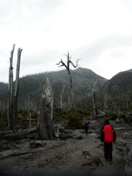 Archivo:Volcan chaiten (12).jpg