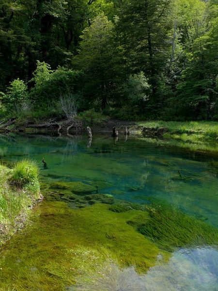 Archivo:1-LagunaVerde.jpg