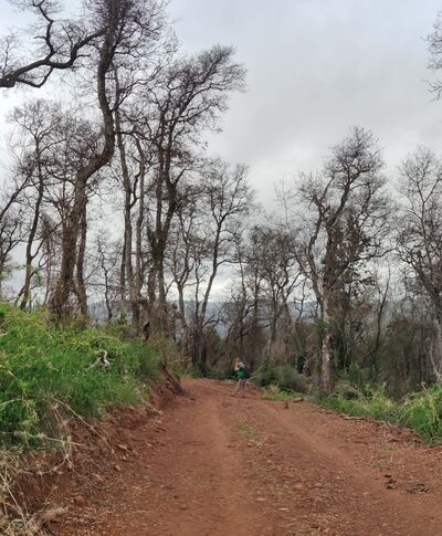 Vuelta mirador (4).jpeg