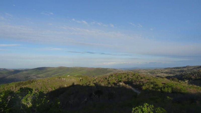 Archivo:Trongol (7).jpg