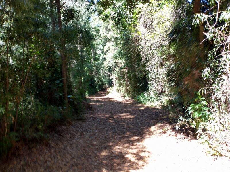 Archivo:Palomares (3).jpg