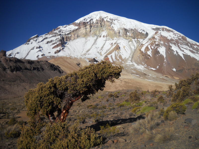 Archivo:Cara oeste del volcán Sajama.jpeg