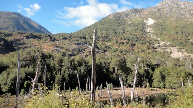 Archivo:Laguna huequecura (10).JPG