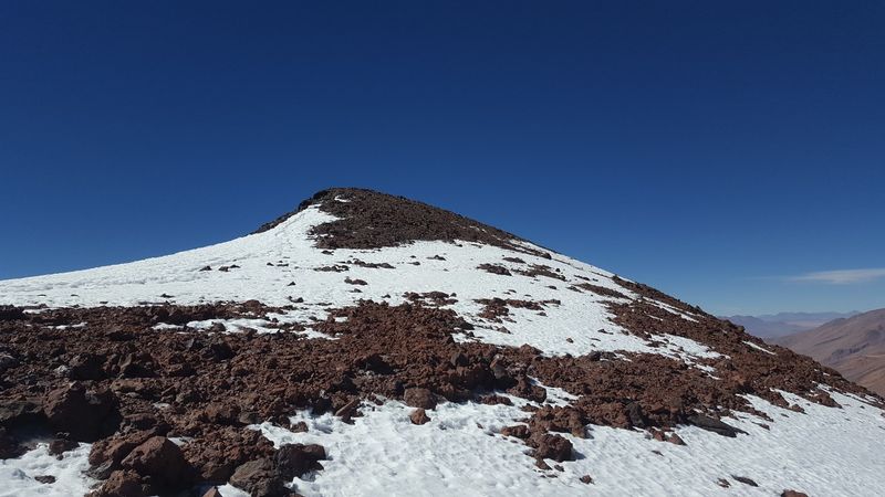 Archivo:Palp 14.jpg