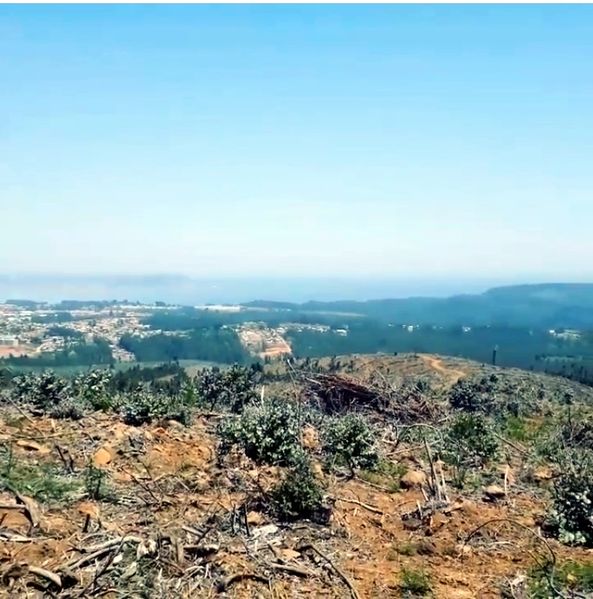 Archivo:Cerro neuque (7).jpg