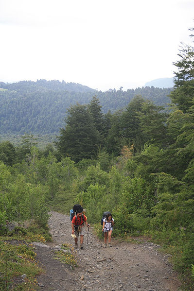 Archivo:Camino Challupén.jpg