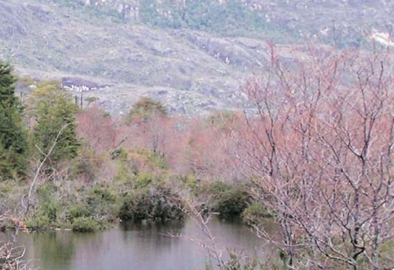 Archivo:Rio huemules.jpg
