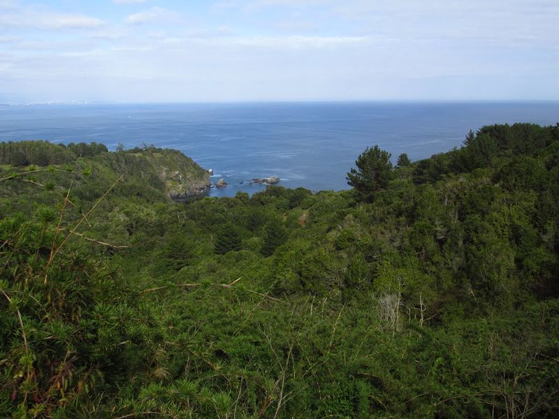 Archivo:Playa los burros (8).jpg