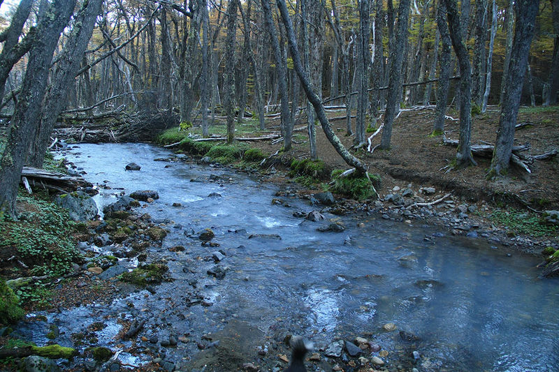 Archivo:Cruce Río Avellano.jpg