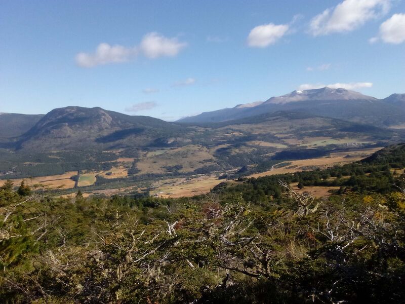 Archivo:PumNE.jpg