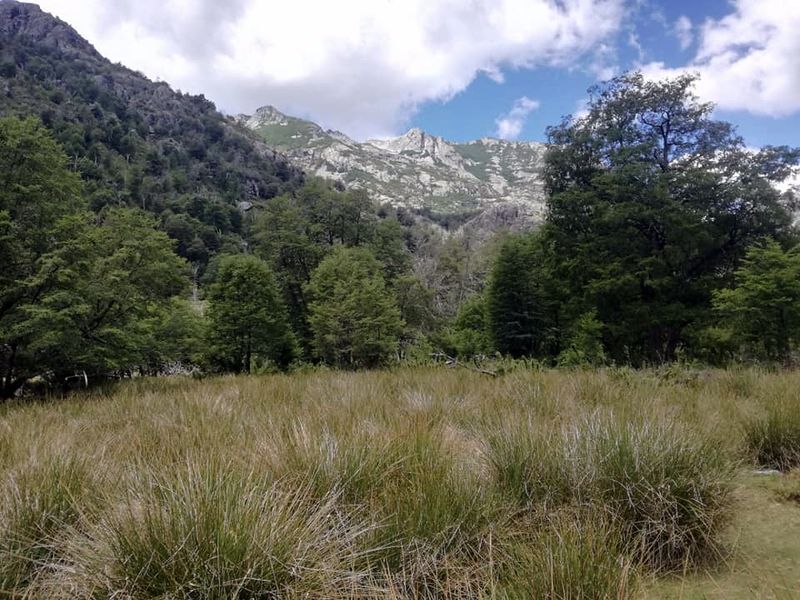 Archivo:Cajon los pacos (5).jpg