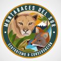 Miniatura de la versión del 17:32 27 mar 2019