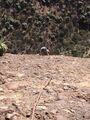 Miniatura de la versión del 17:50 6 sep 2021