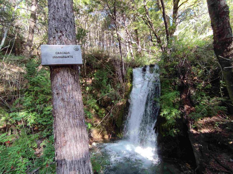 Archivo:Cascada inmigrante.jpg