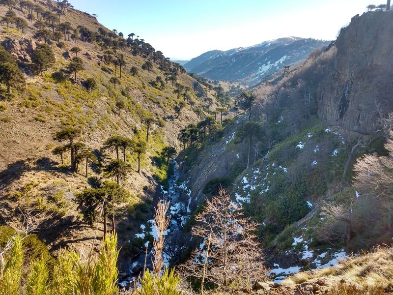 Archivo:Cerro Cuchare (13).jpeg