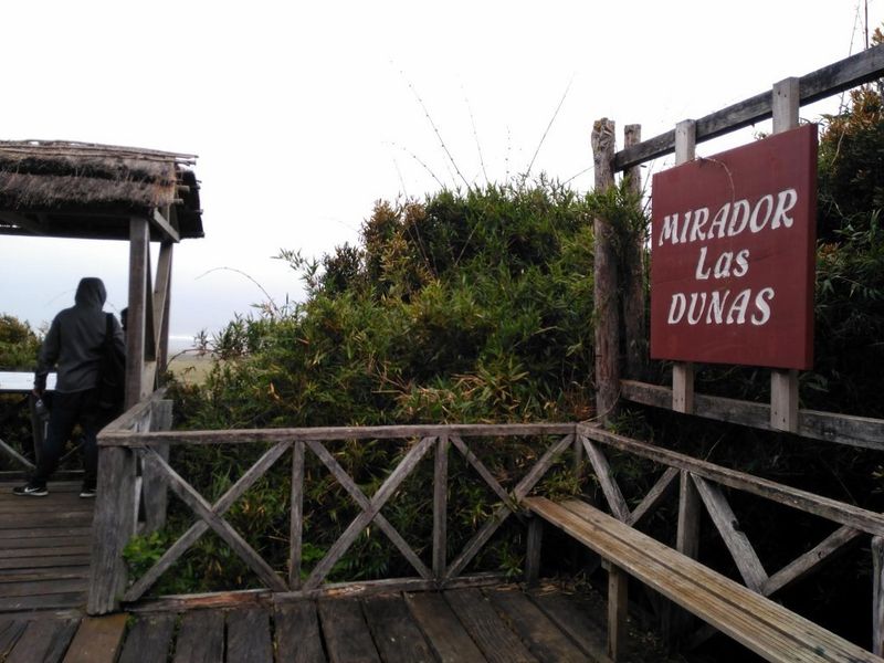 Archivo:Pn chiloe (9).jpg