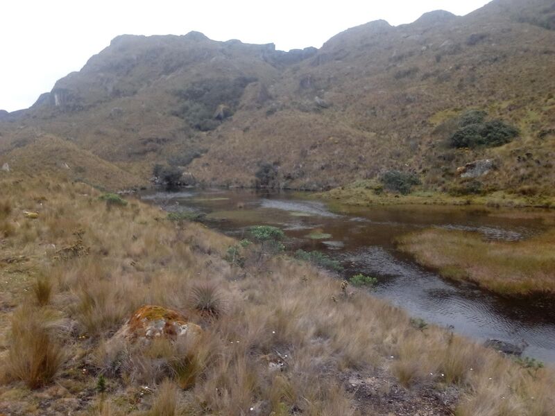 Archivo:Qlgll1.jpg