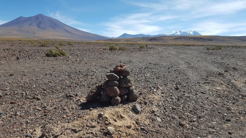 Archivo:Palp 5 (Pequeño).jpg