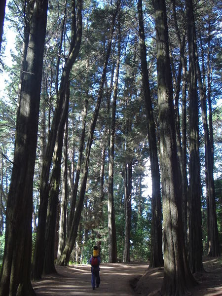 Archivo:Cerro caracol (12).jpg