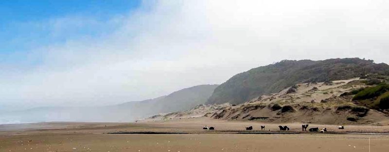 Archivo:Playa colun (3).jpg
