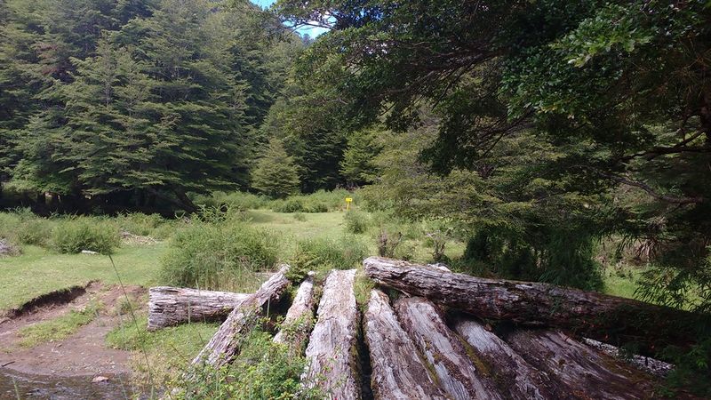 Archivo:Rio tranca lagotoro.jpg