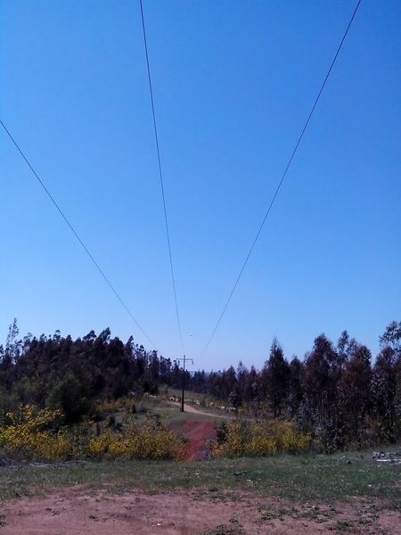 Archivo:Cerro Manquimavida (9).jpg