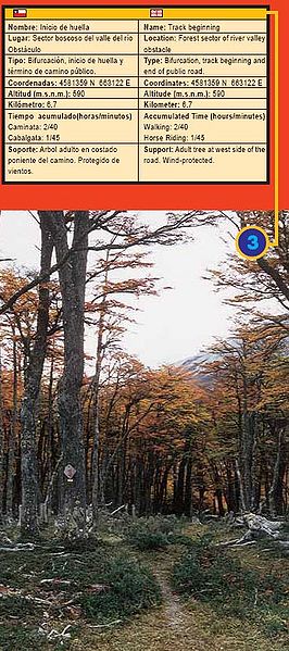 Archivo:Glaciar-OHiggins-hito3.jpg