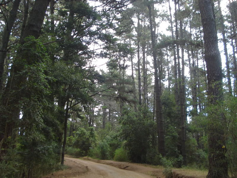 Archivo:Cerro caracol (2).jpg
