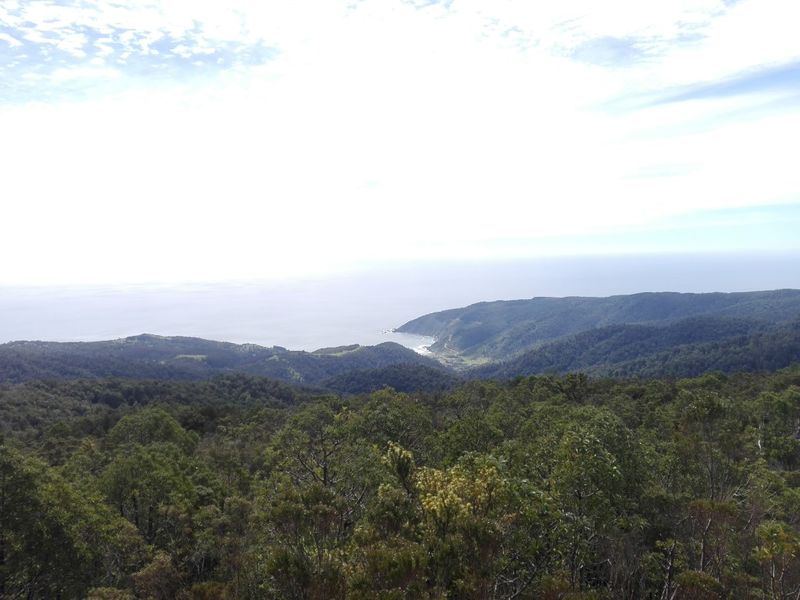 Archivo:Parque oncol (6).jpg