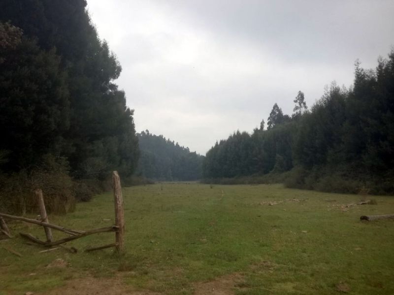 Archivo:Cerro neuque (15).jpg