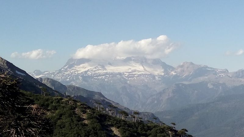 Archivo:Trompelhueno (17).jpg