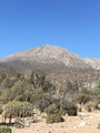 Miniatura de la versión del 21:56 16 abr 2019