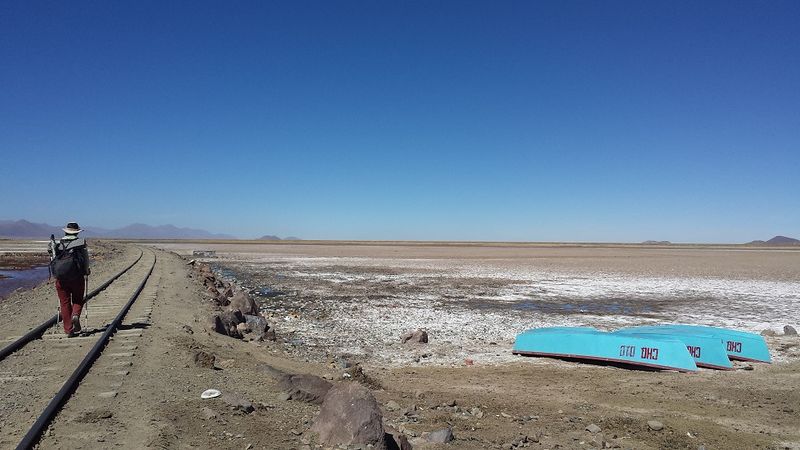 Archivo:Uru uru dry.jpg