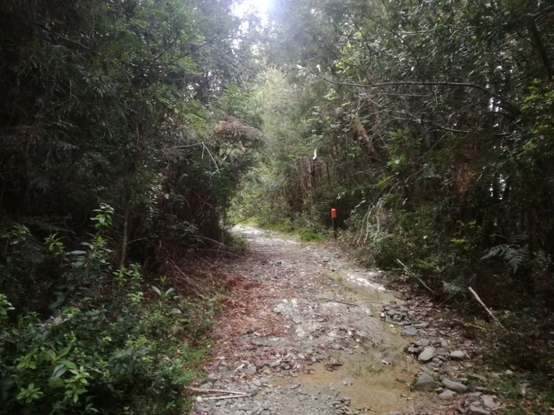 Archivo:Reserva Costera Valdiviana (16).jpg