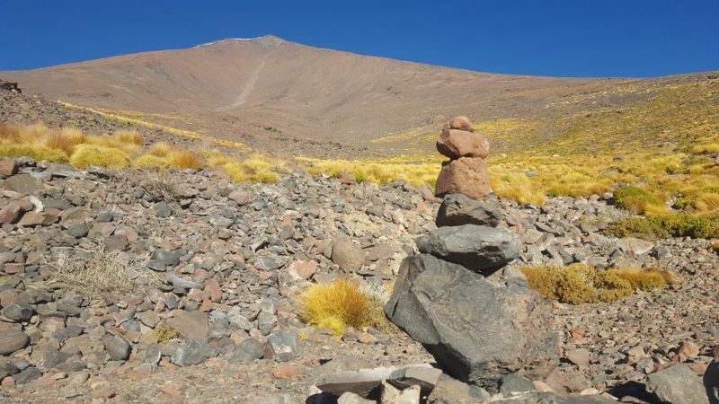 Archivo:Palp 11.jpg