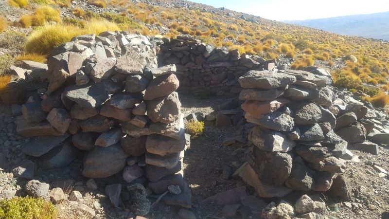 Archivo:Palp 9.jpg