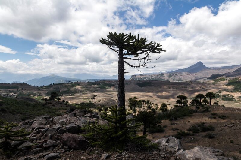 Archivo:Laguna liay (19).jpg