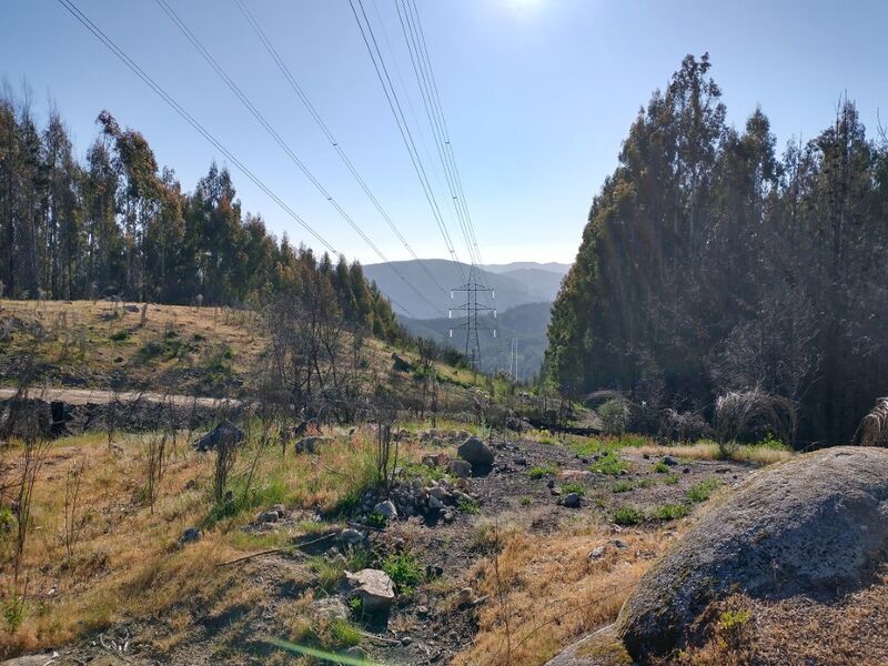 Archivo:Cerro la costilla (10).jpg