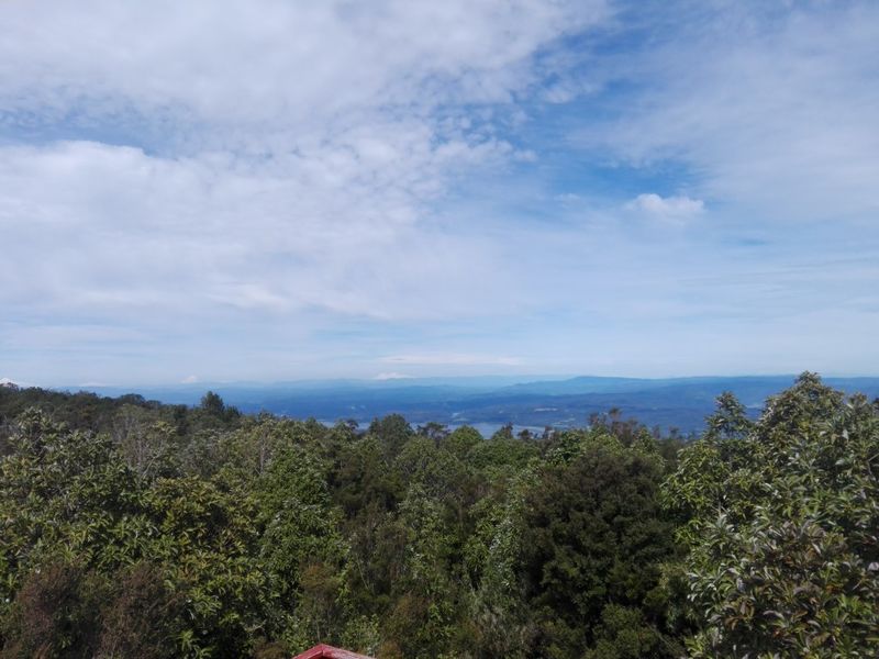 Archivo:Parque oncol (7).jpg