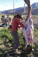 GPT07 Goat Meat.jpg