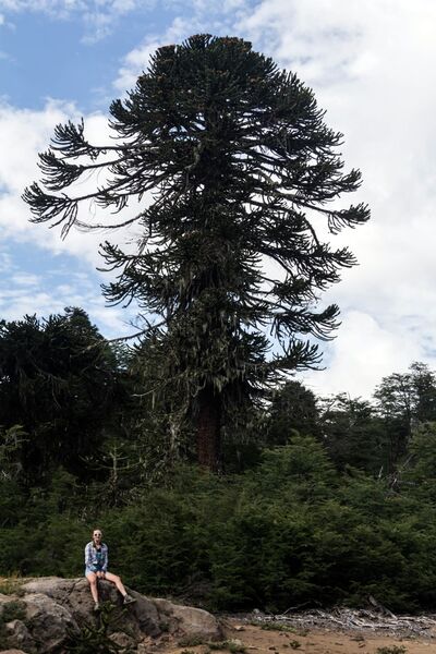 Archivo:Laguna liay (8).jpg