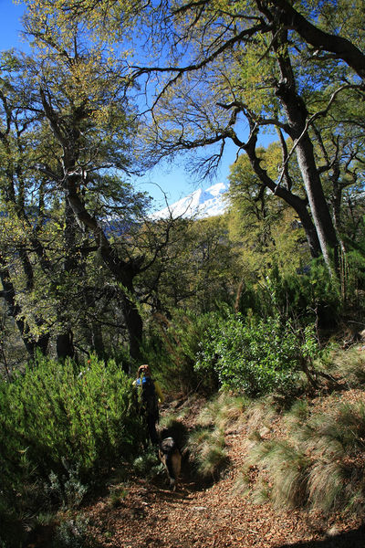 Archivo:1 sendero.jpg