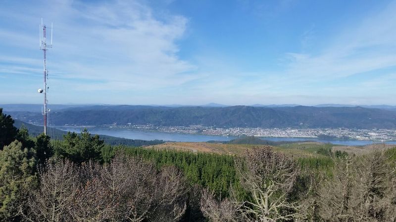 Archivo:Patagual (3).jpeg