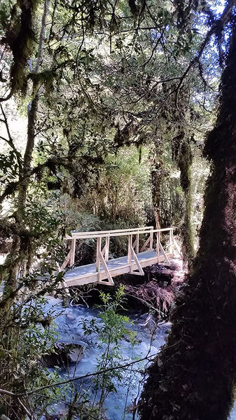 Archivo:Puente Bosque Encantado.jpg