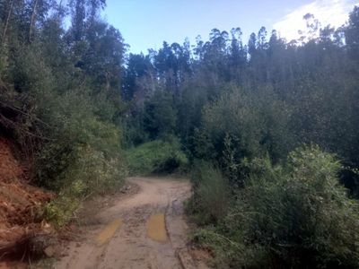 Cerros de nonguen (11).jpg
