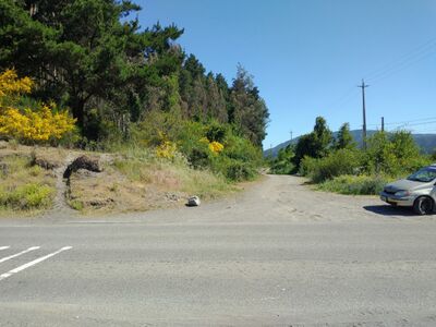 Cerro la costilla.jpg