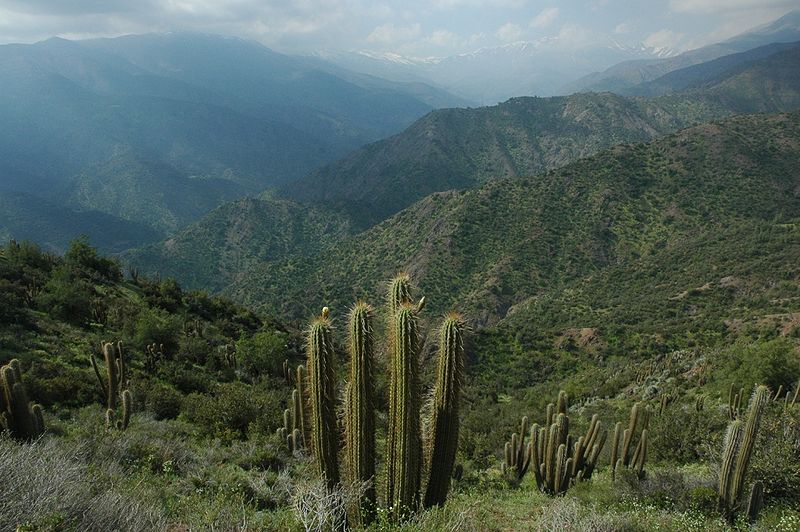 Archivo:Sierra de Pochoco (10).JPG