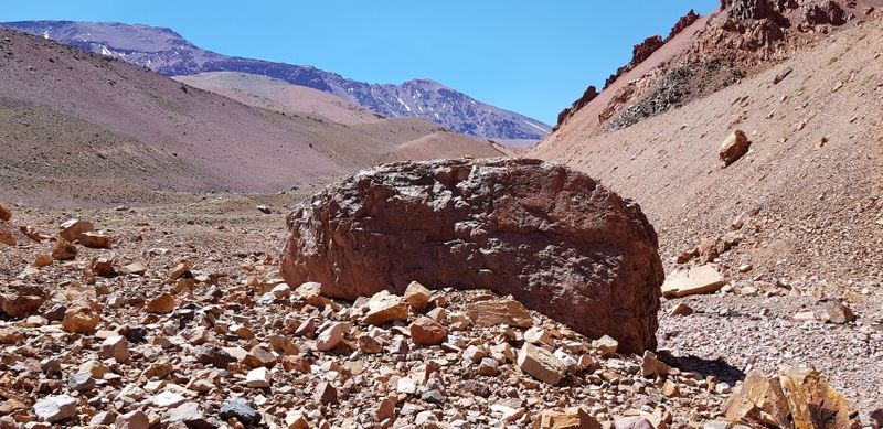 Archivo:Oli3.jpg