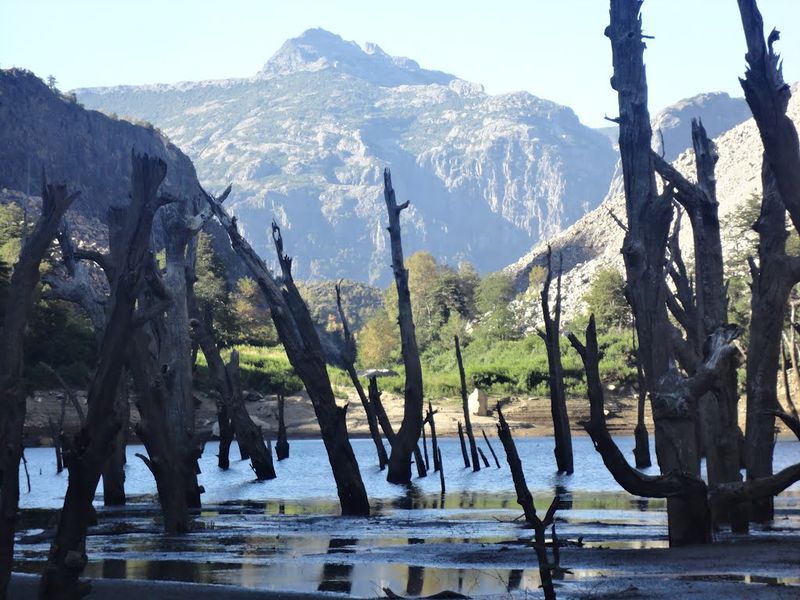Archivo:Estero relbun (9).jpg