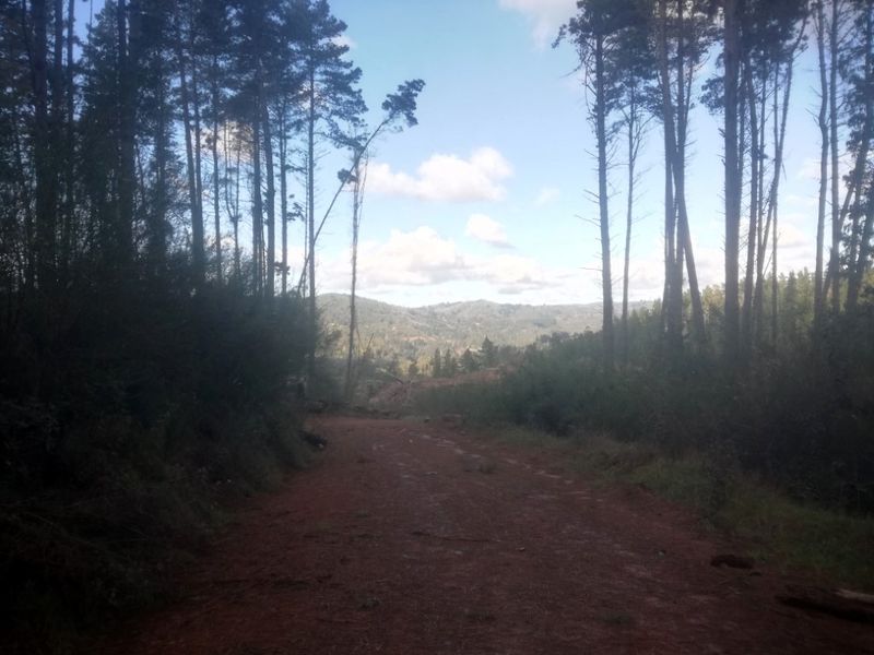 Archivo:Cerros de nonguen (15).jpg